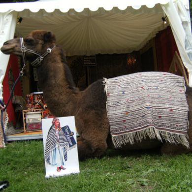 teppichhaus-toensmann-partner-kamelfarm